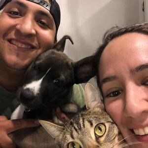 Meet your Posher, Rony